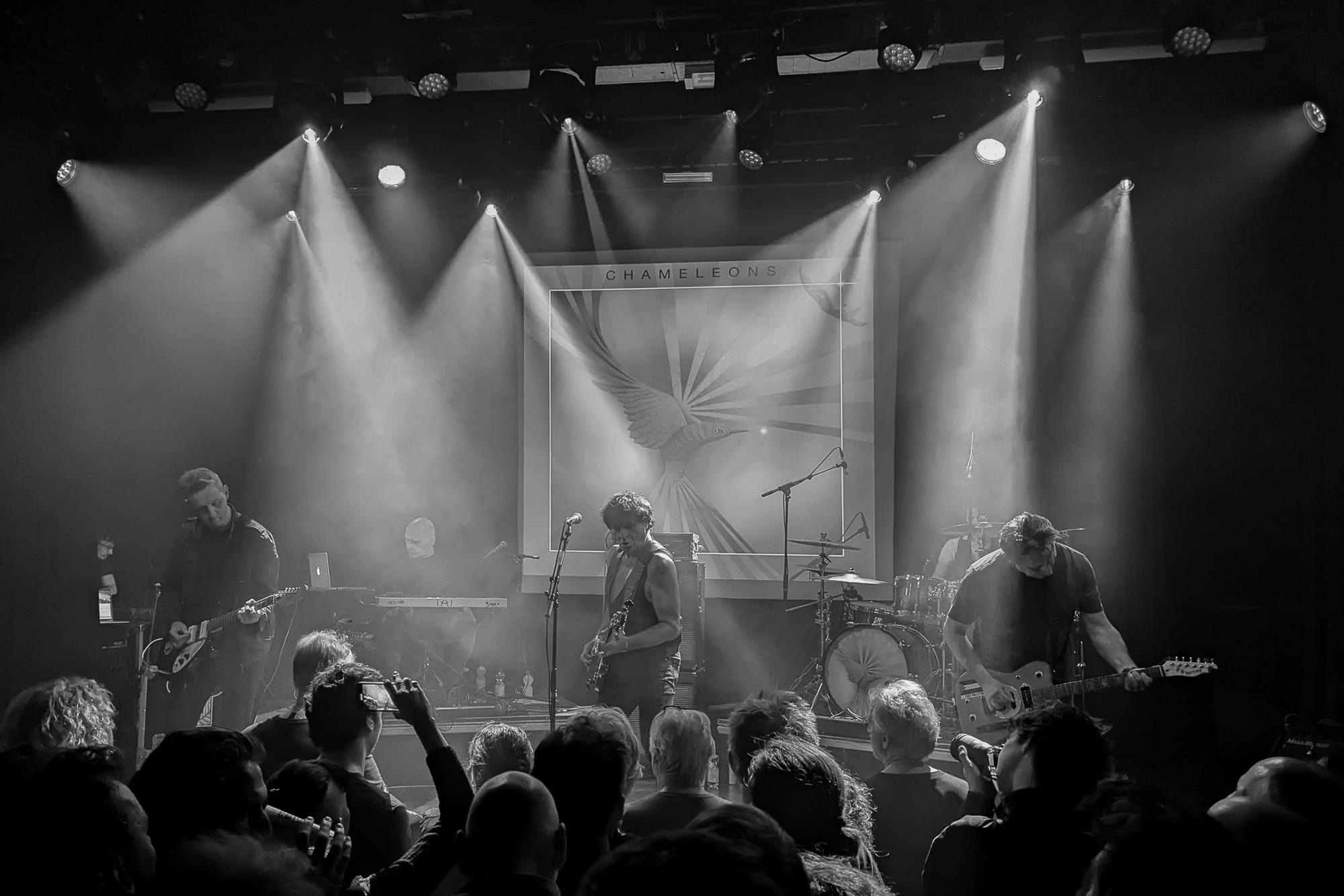  The Chameleons op het podium