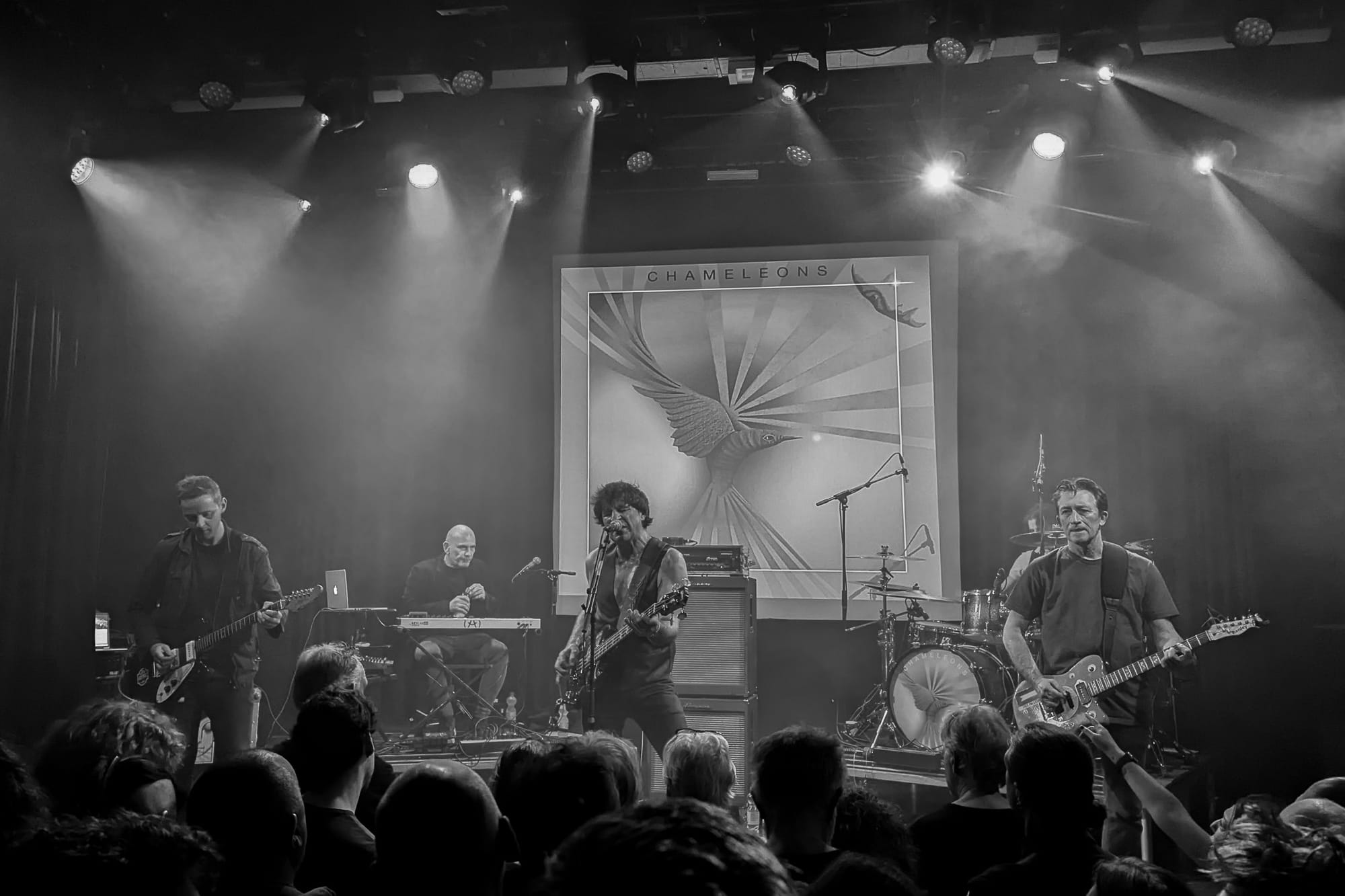  The Chameleons op het podium