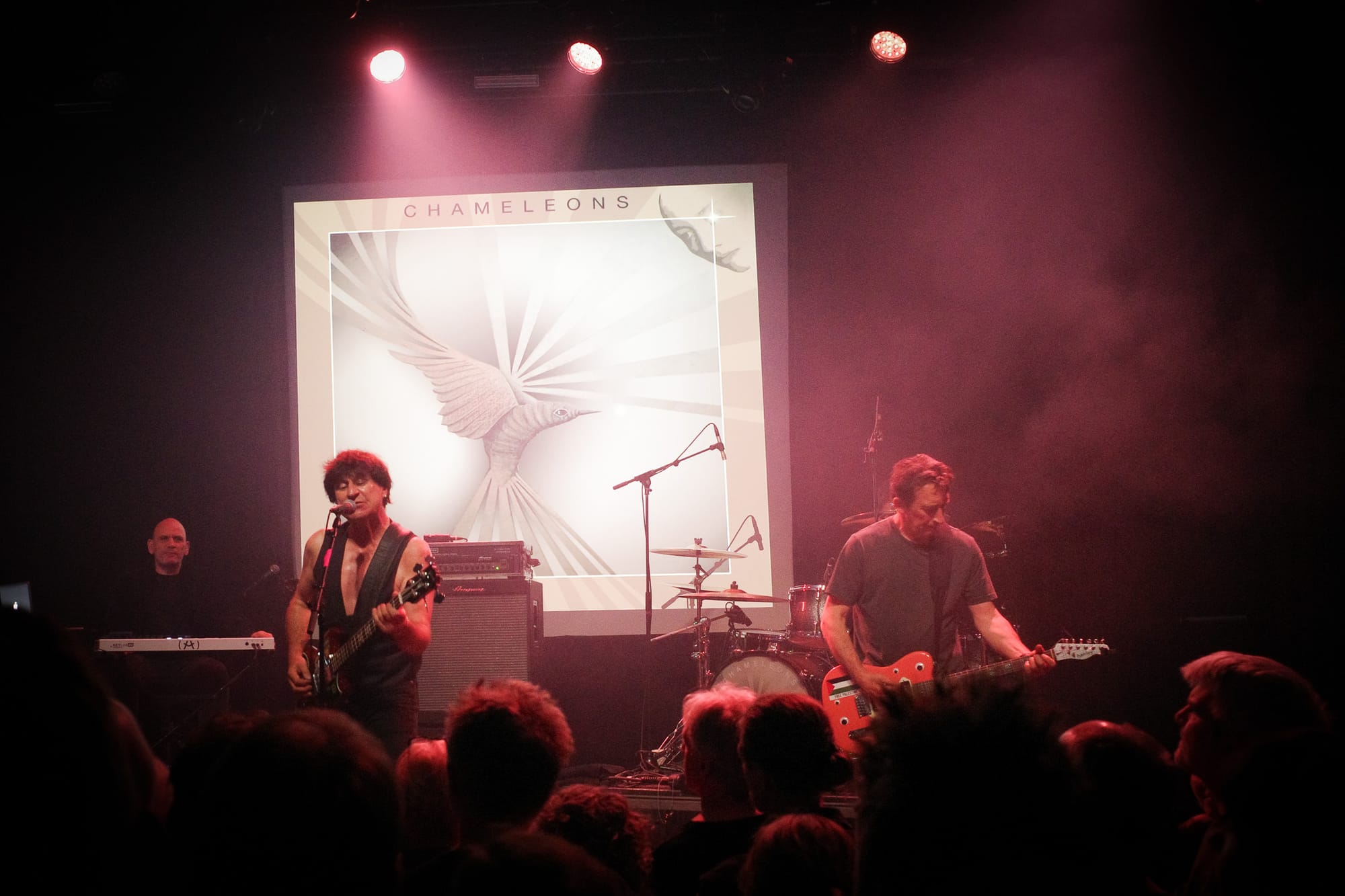  The Chameleons op het podium