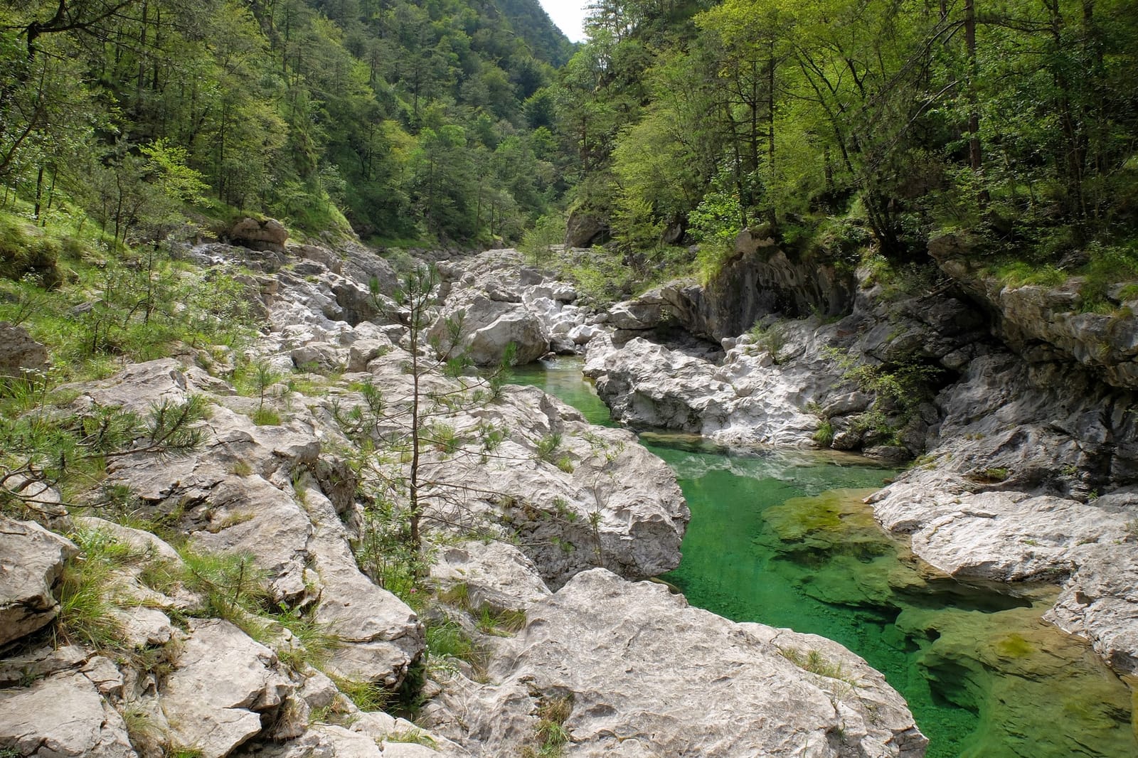 Pozze Smeraldine, Dolomiti Friulane natural park
