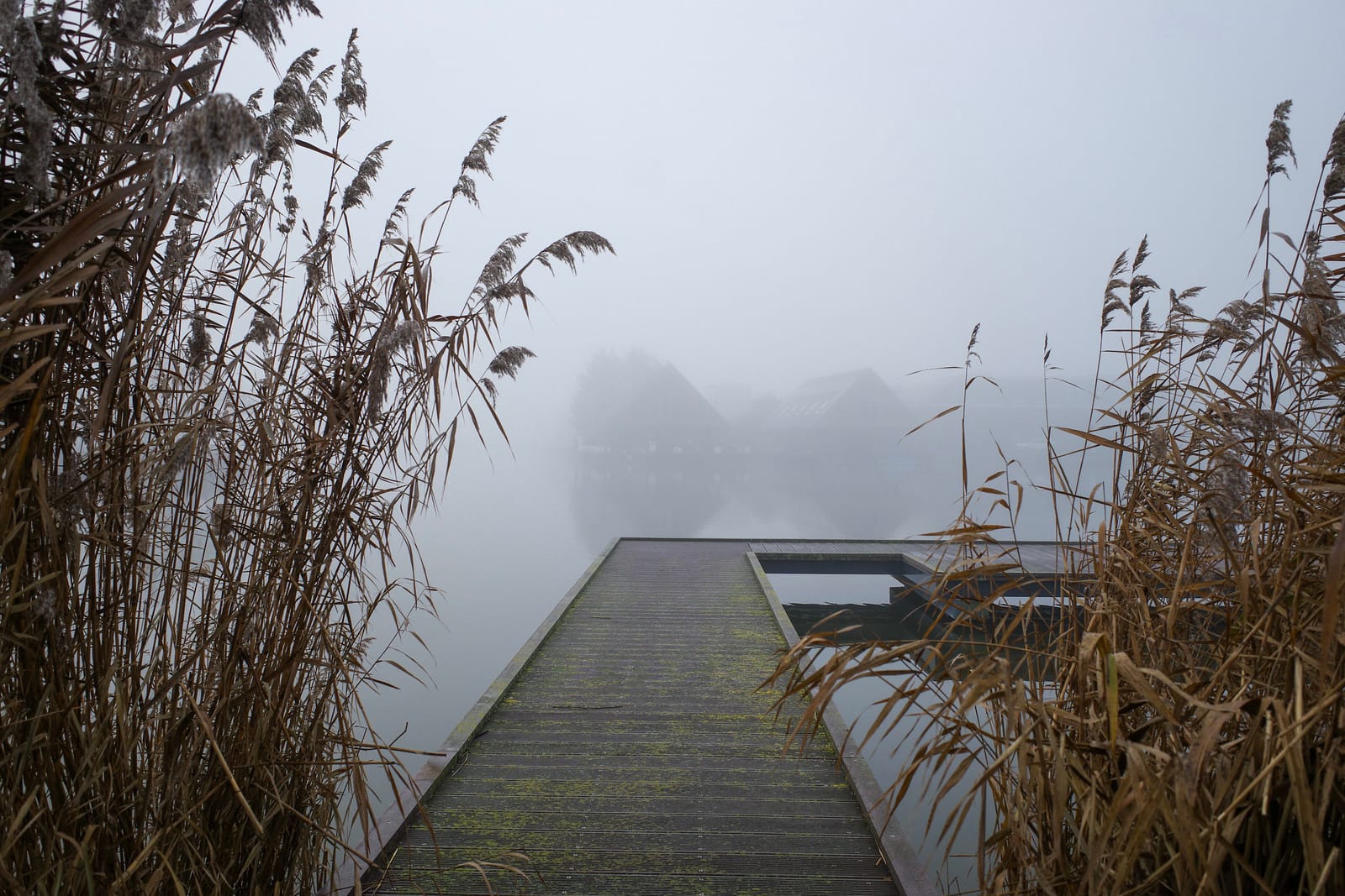 Mijn Den Haag in 2025