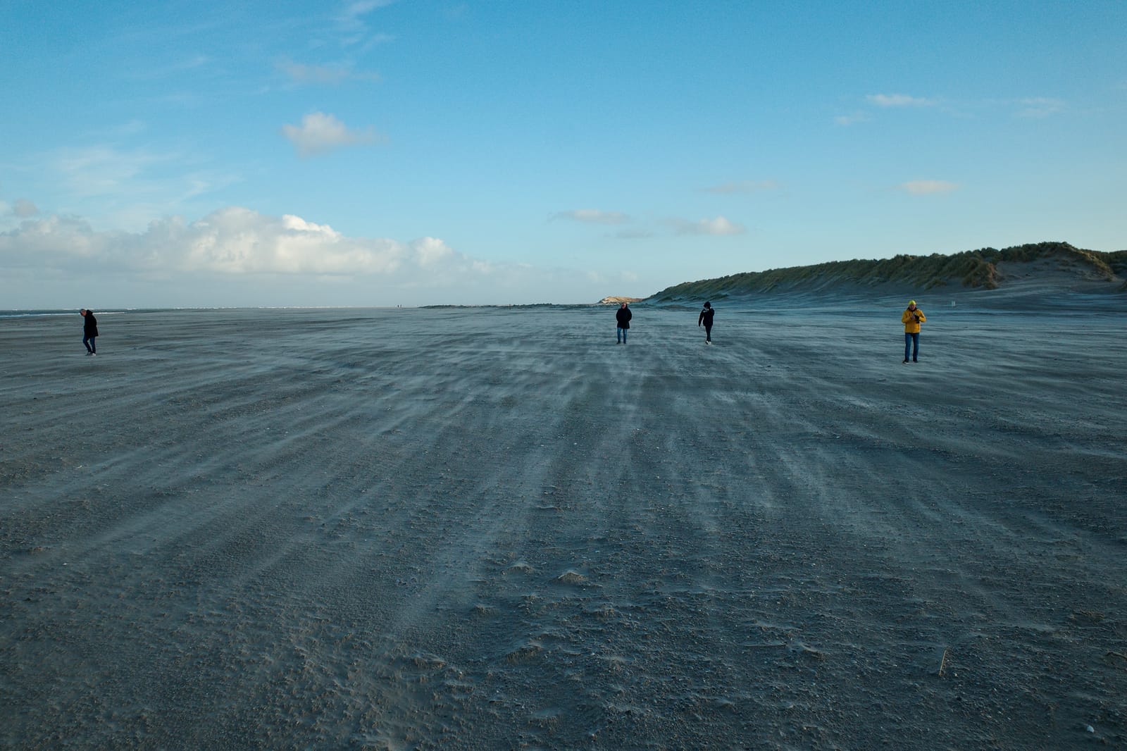Wadden