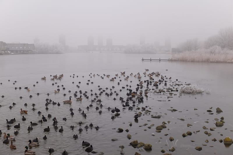 Vorst in Den Haag, Ypenburg