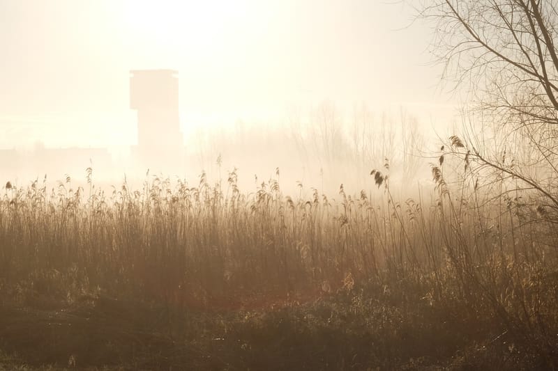 Ypenburg, tegenlicht