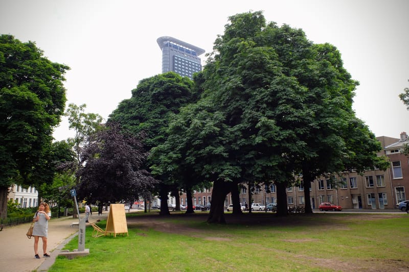 Wandeling in Den Haag