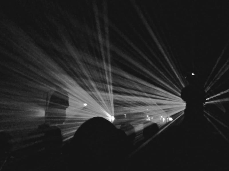 Gang of Four - Paard