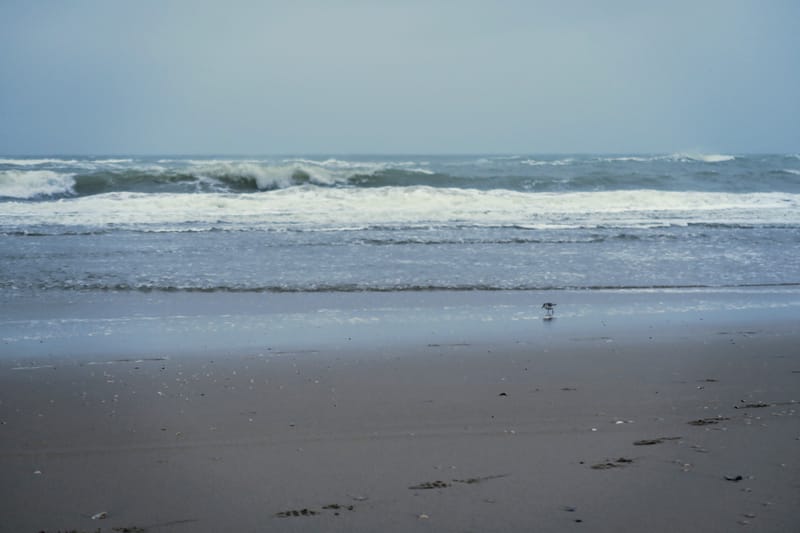 Waar wandel je rustig op tweede kerstdag?