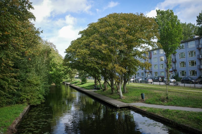 Mijn Den Haag in 2023