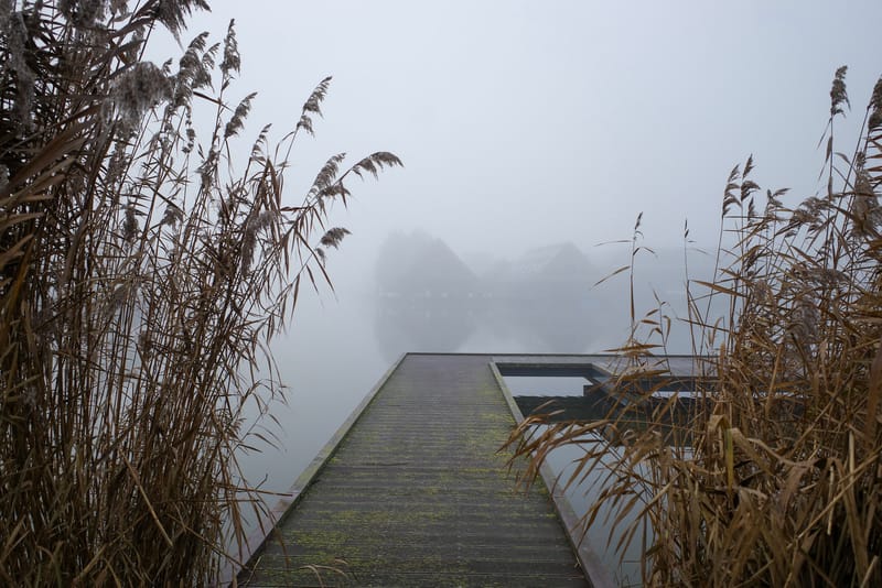 Mijn Den Haag in 2025